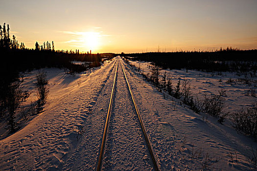 铁路,轨道,线条,曼尼托巴,加拿大
