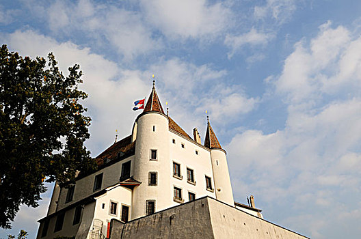 城堡,尼翁,宫殿,日内瓦湖,沃州,瑞士,欧洲
