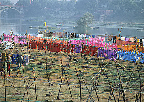印度,北方邦,洗衣服,悬挂,晾衣绳