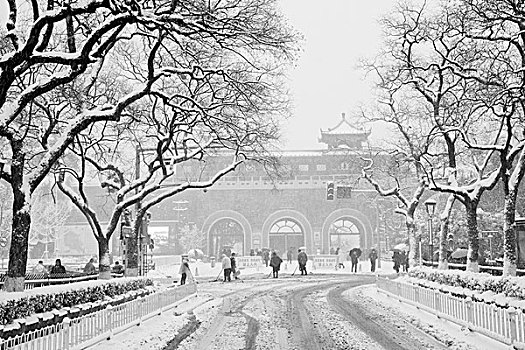 玄武湖雪景