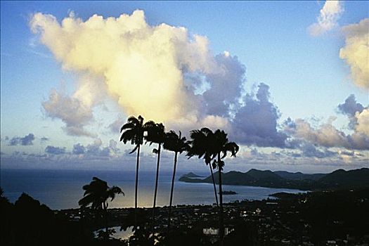 棕榈树,风景,热带,云体,岛屿