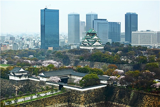 大阪,城市,传统,城堡