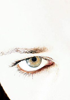 女人,褐色眼睛,特写