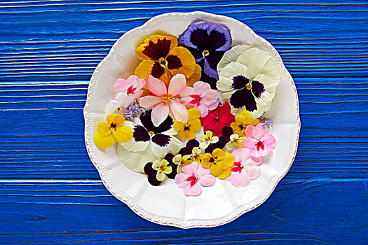 食用花卉,沙拉,盘子,蓝色背景,木桌子