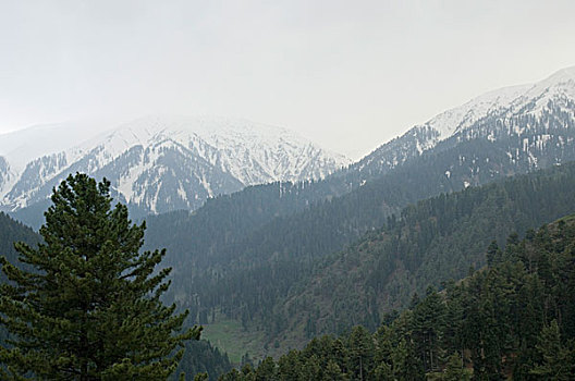 全景,山,查谟-克什米尔邦,印度