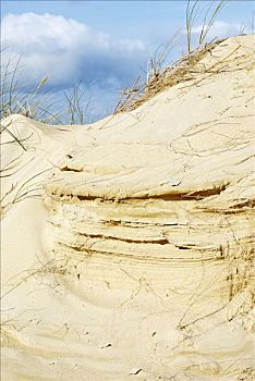 沙子,层次,稳固,风,沙丘,海岸,多纳格,爱尔兰