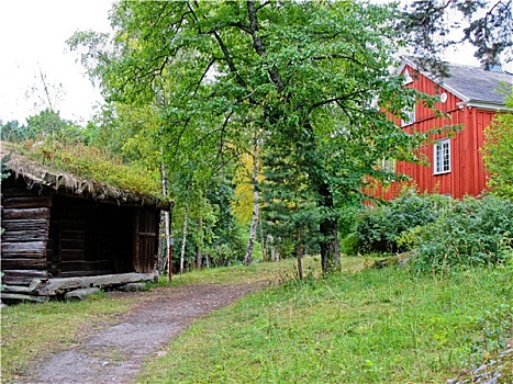 老,生态,小屋,绿色,屋顶,斯德哥尔摩,瑞典