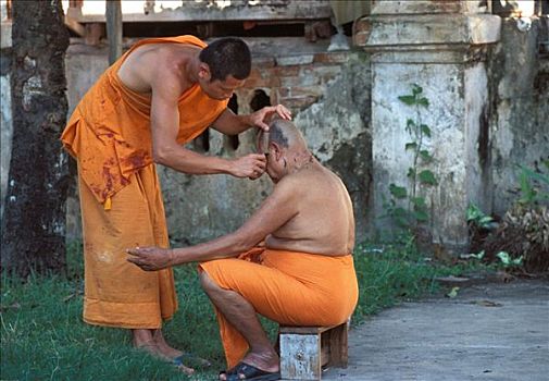 老挝,琅勃拉邦,僧侣,剃,毛发,五月,庙宇