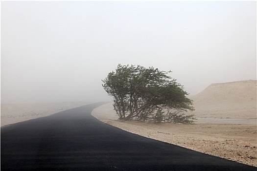 沙暴,荒芜,卡塔尔,中东