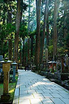 庙宇,高野山