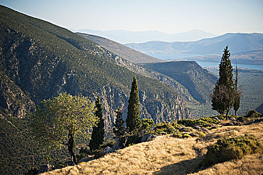 山地,风景,特尔斐城,希腊