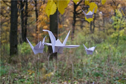 纸,纸鹤,秋天,公园