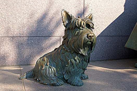 华盛顿,华盛顿特区,雕塑,狗