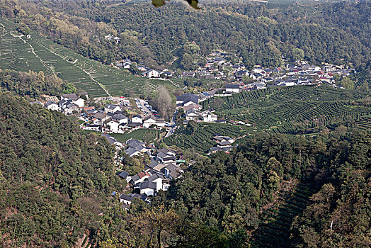 杭州老龙井景点老茶园