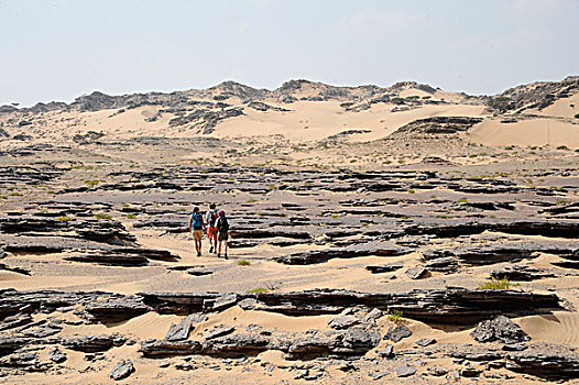 阿曼苏丹国,区域,群体,旅游,远足,风景,石头,沙子