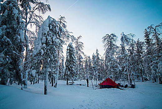 站立,男人,旁侧,帐蓬,雪中,遮盖,树林,俄罗斯