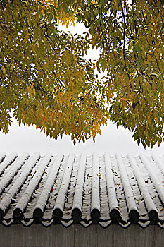 北京胡同雪景