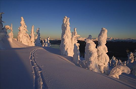 景色,日出,冬天,滑雪轨迹,兰格尔,岛屿,东南阿拉斯加