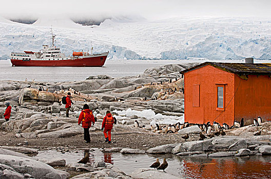 游客,小屋,南极,船,背影,岛屿,雷麦瑞海峡,南极半岛