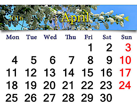 日程,四月,鸟,樱桃树