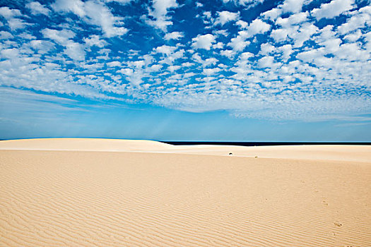 沙丘,蓝色海洋,科拉莱霍,自然公园,富埃特文图拉岛,加纳利群岛,西班牙,欧洲