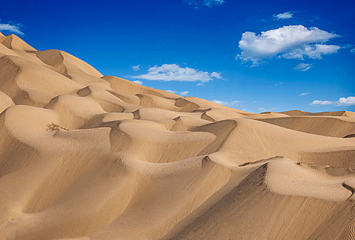 新疆塔里木沙漠公路旁的沙漠