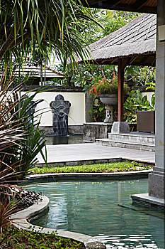 库塔,巴厘岛,花园,游泳池