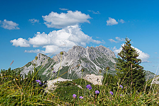 自然保护区,山,奥地利,欧洲
