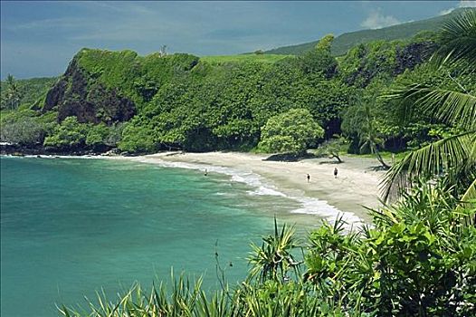 夏威夷,毛伊岛,海岸,海滩,漂亮,清晰,白天
