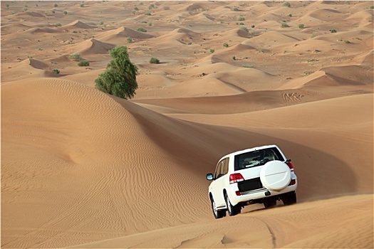 沙丘,迪拜