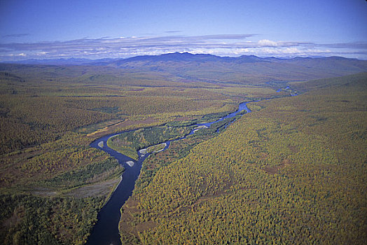 俄罗斯,堪察加半岛,树林,河,火山