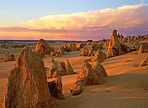 顶峰,石灰石,日落,南邦国家公园,西澳大利亚州