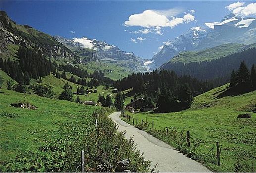 道路,小,山峦,阿尔卑斯山,山,瑞士,草地