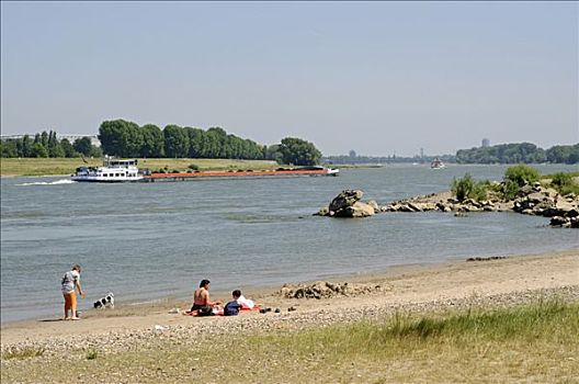 堤岸,莱茵河,河,北方,北莱茵威斯特伐利亚,德国,欧洲