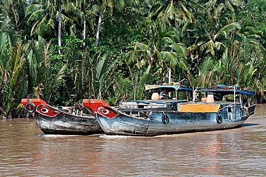 船,湄公河,湄公河三角洲,越南,东南亚,亚洲
