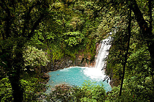 瀑布,蓝色,水,国家公园,哥斯达黎加,中美洲