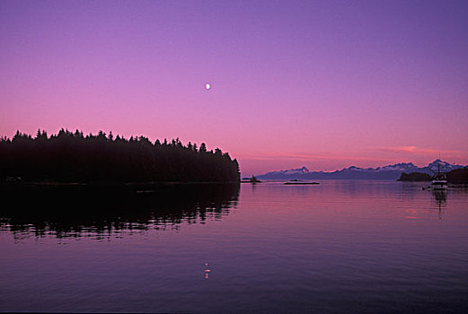 日落,景色,靠近,弗雷德里克湾,月出,阿拉斯加