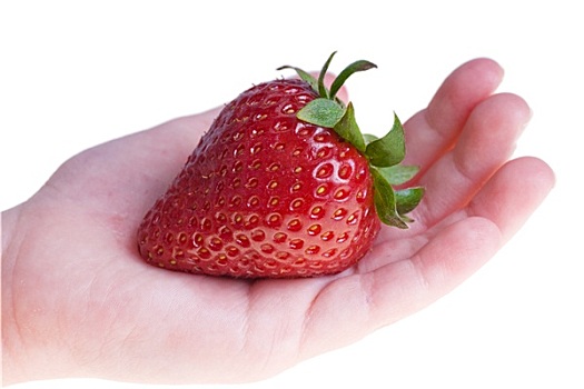 一个,草莓,隔绝,白色背景