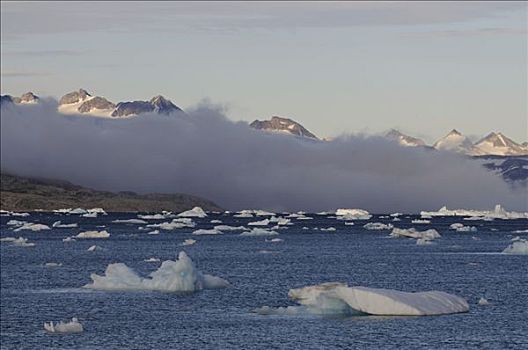 冰山,峡湾,东方,格陵兰