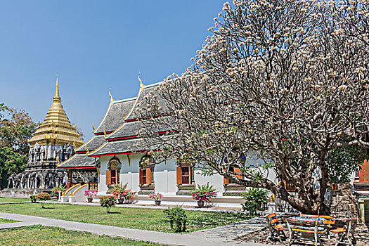 亚洲泰国清迈帕辛寺