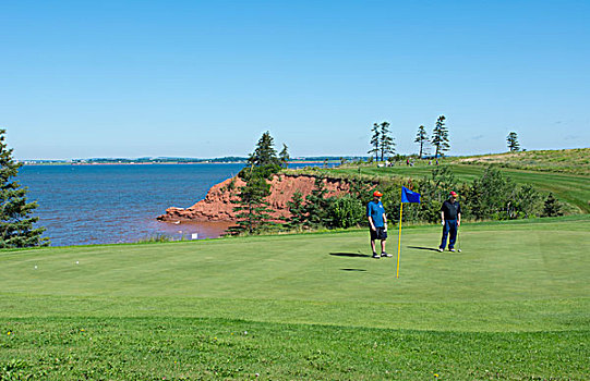 加拿大,爱德华王子岛,打高尔夫,贝尔法斯特,高地,绿色,靠近,海洋,悬崖