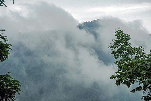 雷洞坪胜景