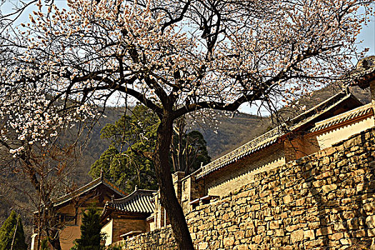 龙门寺