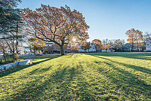 波士顿公园秋色