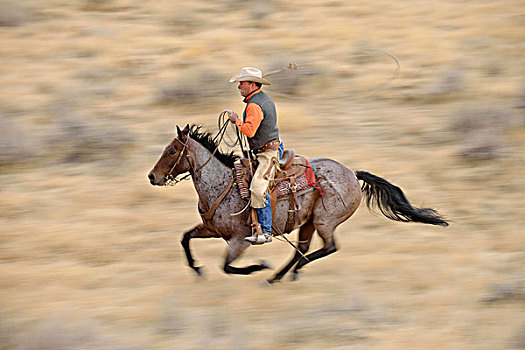 动感,牛仔,骑马,驰骋,荒野,落基山脉,怀俄明,美国