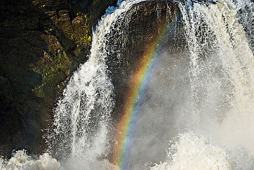彩虹,尼罗河,国家公园,乌干达,非洲