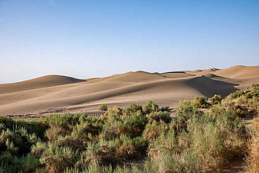 新疆塔里木沙漠公路旁的沙漠