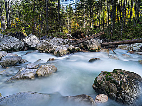 湍流,国家公园,巴伐利亚,德国,大幅,尺寸