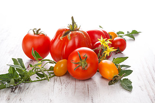 西红柿,木质背景
