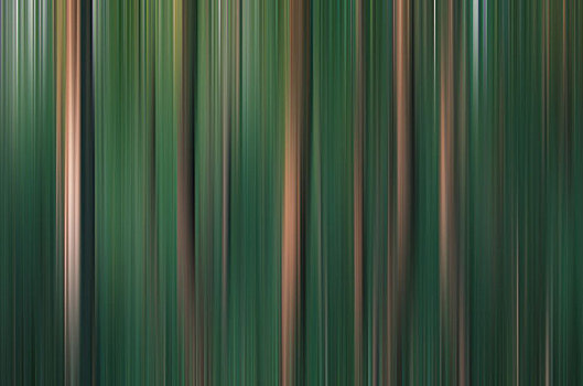 森林树木及背景素材